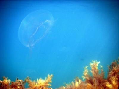 Прикрепленное изображение: tsUtkkSkXhM.jpg